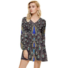 Peacock Tiered Long Sleeve Mini Dress by Ket1n9