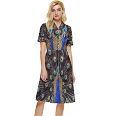 Peacock Button Top Knee Length Dress by Ket1n9