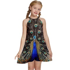 Peacock Kids  Halter Collar Waist Tie Chiffon Dress by Ket1n9