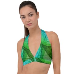 Sunlight Filtering Through Transparent Leaves Green Blue Halter Plunge Bikini Top by Ket1n9