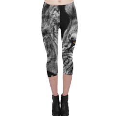 Angry Male Lion Roar Wild Animal Capri Leggings  by Cendanart