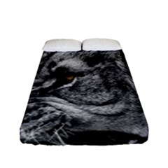 Angry Male Lion Roar Wild Animal Fitted Sheet (full/ Double Size)