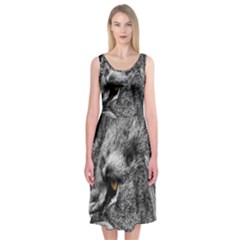 Angry Male Lion Roar Wild Animal Midi Sleeveless Dress by Cendanart