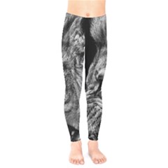 Angry Male Lion Roar Wild Animal Kids  Leggings