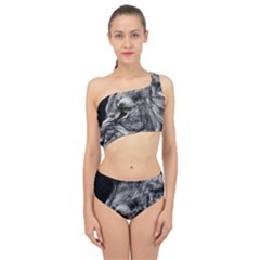 Angry Male Lion Roar Wild Animal Spliced Up Two Piece Swimsuit