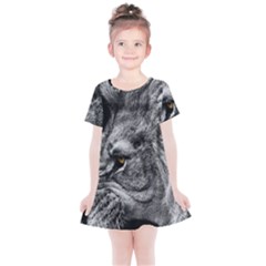 Angry Male Lion Roar Wild Animal Kids  Simple Cotton Dress by Cendanart