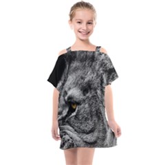 Angry Male Lion Roar Wild Animal Kids  One Piece Chiffon Dress by Cendanart