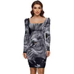 Angry Male Lion Roar Wild Animal Women Long Sleeve Ruched Stretch Jersey Dress by Cendanart