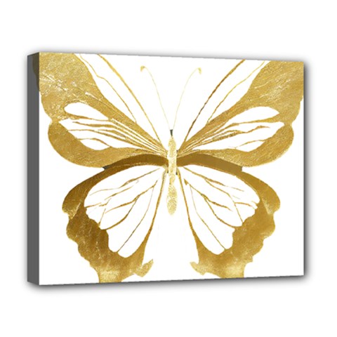 Simulated Gold Leaf Gilded Butterfly Deluxe Canvas 20  X 16  (stretched) by essentialimage