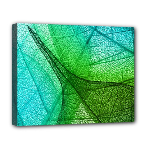 Sunlight Filtering Through Transparent Leaves Green Blue Deluxe Canvas 20  X 16  (stretched) by Ket1n9