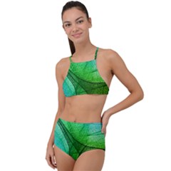 Sunlight Filtering Through Transparent Leaves Green Blue Halter Tankini Set by Ket1n9