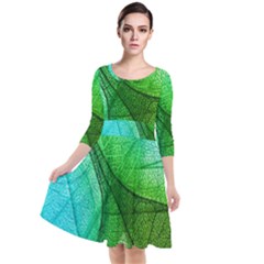 Sunlight Filtering Through Transparent Leaves Green Blue Quarter Sleeve Waist Band Dress by Ket1n9