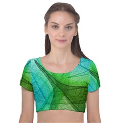 Sunlight Filtering Through Transparent Leaves Green Blue Velvet Short Sleeve Crop Top  by Ket1n9