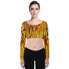 Yellow Chevron Zigzag Pattern Velvet Long Sleeve Crop Top by Ket1n9