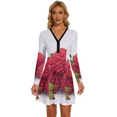 Fruit Healthy Vitamin Vegan Long Sleeve Deep V Mini Dress  by Ket1n9