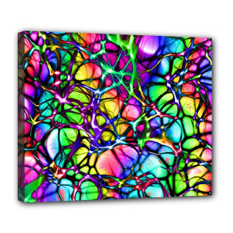 Network Nerves Nervous System Line Deluxe Canvas 24  X 20  (stretched)