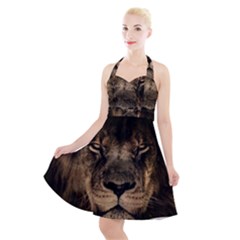 African Lion Mane Close Eyes Halter Party Swing Dress  by Ket1n9