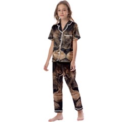 African Lion Mane Close Eyes Kids  Satin Short Sleeve Pajamas Set by Ket1n9