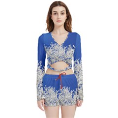 Crown Aesthetic Branches Hoarfrost Velvet Wrap Crop Top And Shorts Set by Ket1n9