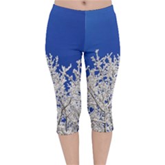 Crown Aesthetic Branches Hoarfrost Velvet Capri Leggings  by Ket1n9