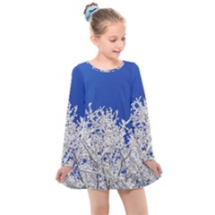 Crown Aesthetic Branches Hoarfrost Kids  Long Sleeve Dress by Ket1n9