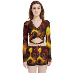 Cute 3d Dog Velvet Wrap Crop Top And Shorts Set by Ket1n9