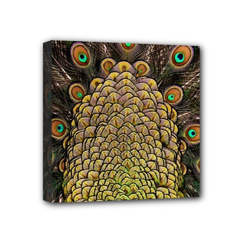 Peacock Feathers Wheel Plumage Mini Canvas 4  X 4  (stretched) by Ket1n9