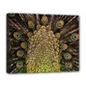 Peacock Feathers Wheel Plumage Canvas 14  x 11  (Stretched) View1