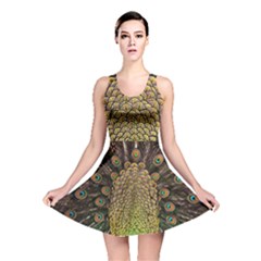 Peacock Feathers Wheel Plumage Reversible Skater Dress by Ket1n9