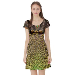 Peacock Feathers Wheel Plumage Short Sleeve Skater Dress by Ket1n9