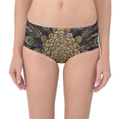 Peacock Feathers Wheel Plumage Mid-waist Bikini Bottoms by Ket1n9