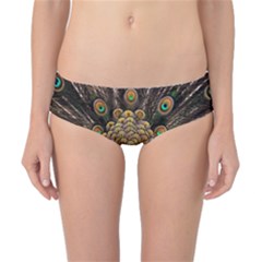 Peacock Feathers Wheel Plumage Classic Bikini Bottoms by Ket1n9