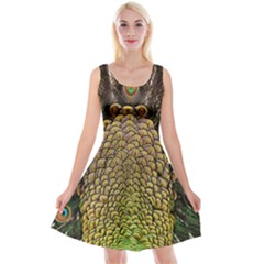 Peacock Feathers Wheel Plumage Reversible Velvet Sleeveless Dress