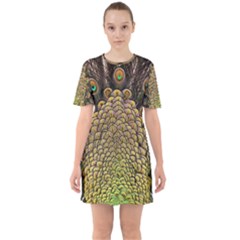 Peacock Feathers Wheel Plumage Sixties Short Sleeve Mini Dress by Ket1n9