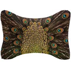 Peacock Feathers Wheel Plumage Seat Head Rest Cushion by Ket1n9