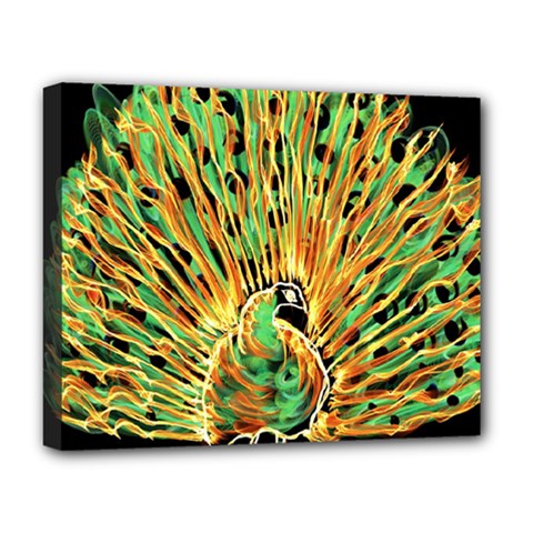 Unusual Peacock Drawn With Flame Lines Deluxe Canvas 20  X 16  (stretched) by Ket1n9