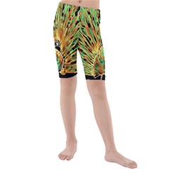 Unusual Peacock Drawn With Flame Lines Kids  Mid Length Swim Shorts by Ket1n9