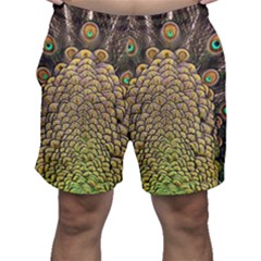 Peacock Feathers Wheel Plumage Men s Shorts by Ket1n9