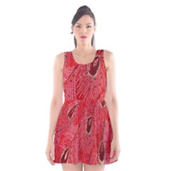 Red Peacock Floral Embroidered Long Qipao Traditional Chinese Cheongsam Mandarin Scoop Neck Skater Dress by Ket1n9