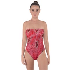 Red Peacock Floral Embroidered Long Qipao Traditional Chinese Cheongsam Mandarin Tie Back One Piece Swimsuit by Ket1n9