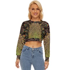 Peacock Feathers Wheel Plumage Lightweight Long Sleeve Sweatshirt by Ket1n9