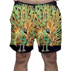 Unusual Peacock Drawn With Flame Lines Men s Shorts by Ket1n9