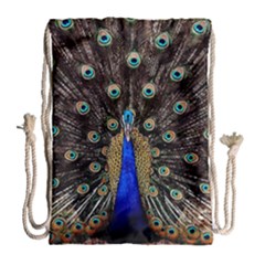 Peacock Drawstring Bag (large) by Ket1n9