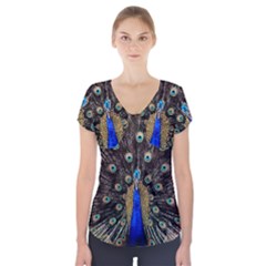 Peacock Short Sleeve Front Detail Top by Ket1n9