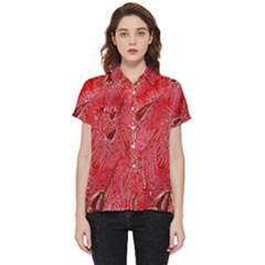 Red Peacock Floral Embroidered Long Qipao Traditional Chinese Cheongsam Mandarin Short Sleeve Pocket Shirt by Ket1n9