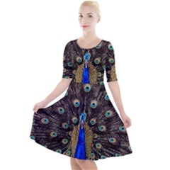 Peacock Quarter Sleeve A-line Dress by Ket1n9