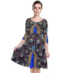 Peacock Quarter Sleeve Waist Band Dress by Ket1n9