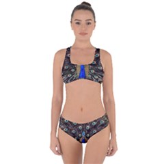 Peacock Criss Cross Bikini Set