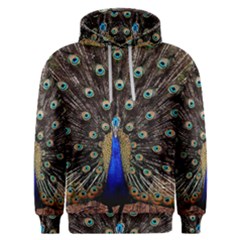 Peacock Men s Overhead Hoodie by Ket1n9