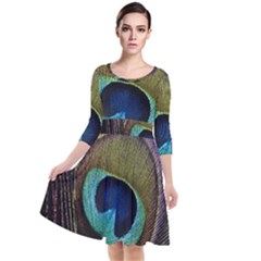 Peacock Feather Quarter Sleeve Waist Band Dress by Ket1n9